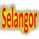 Selangor icon